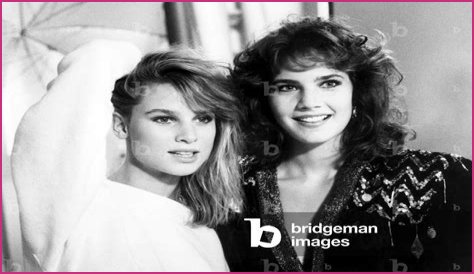 All About Nicollette Sheridan: A Television Icon